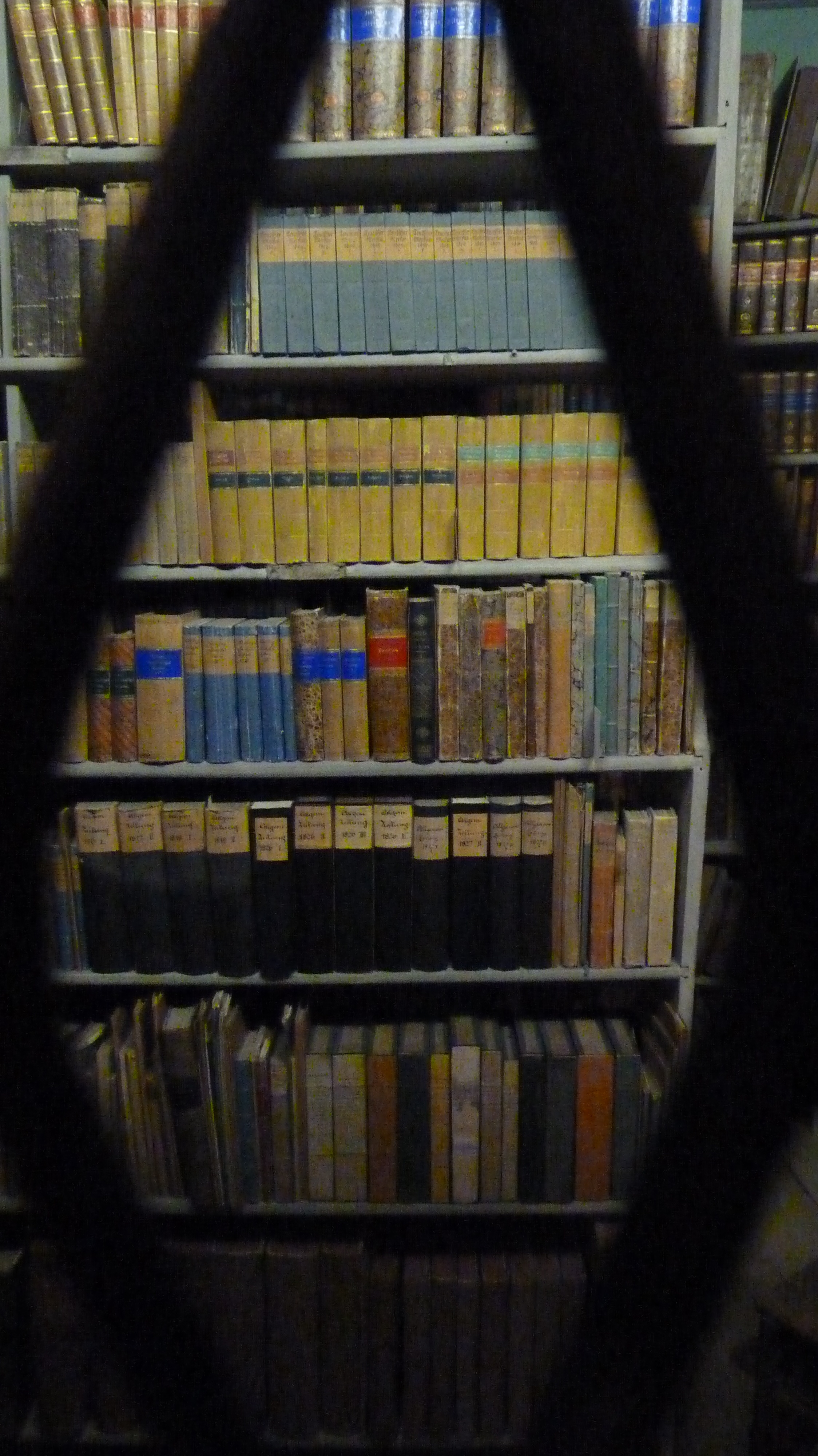 Ein Blick in Goethes Bibliothek